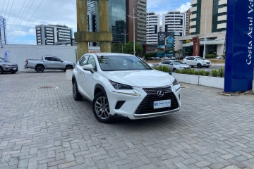 NX 300